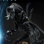 Alien Warrior Deluxe Bonus Edition