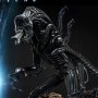 Alien Warrior Deluxe Bonus Edition