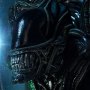 Aliens: Alien Warrior Head Trophy 3D Wall Art