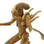 Aliens: Alien Warrior Sewer Mutation (SDCC 2017)