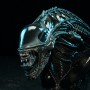 Alien 2: Alien Warrior (Sideshow)