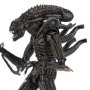 Aliens: Alien Warrior Ultimate Brown