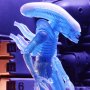 Alien Warrior Blue