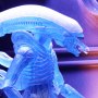 Aliens Series 11