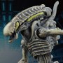 Xenomorph Boiler