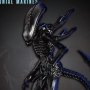 Xenomorph Lurker