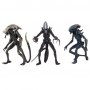 Alien Vs. Predator: Aliens 3-SET