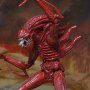 Xenomorph Warrior Red