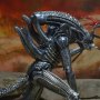 Xenomorph Warrior Black