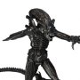 Alien Genocide: Xenomorph Warrior Black