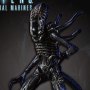 Xenomorph Soldier