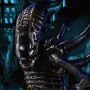 Xenomorph Soldier