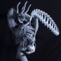 Aliens And Predators: Hunter’s Way (Unpainted Kit)