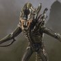 Alien 2: Alien Warrior