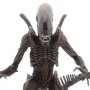 Alien Warrior
