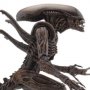 Alien Warrior