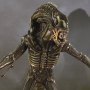 Alien Warrior