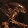 Alien Warrior