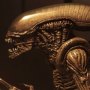 Alien Warrior
