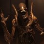 Alien Warrior