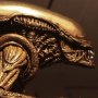 Alien Warrior