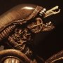 Alien Warrior