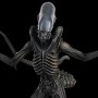 Alien Xenomorph