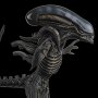 Alien Xenomorph