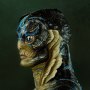 Amphibian Man