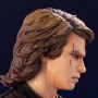 Anakin Skywalker