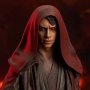 Star Wars: Anakin Skywalker Dark (PGM 2022)