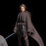 Anakin Skywalker Legacy