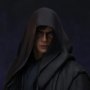 Anakin Skywalker Legacy