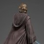 Anakin Skywalker Legacy