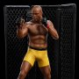Anderson "Spider" Silva Signed Deluxe