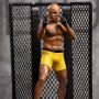 Anderson "Spider" Silva Signed Deluxe