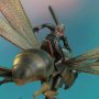 Ant-Man On Flying Ant Mini