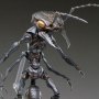 Ant Soldier Artist Collaboration Series