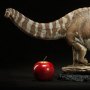 Dinosauria: Apatosaurus