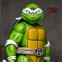April As The 5th Turtle
