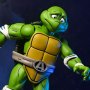 April As The 5th Turtle