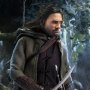 Aragorn Special