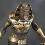 Anubis Egyptian God Black (studio)