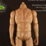 Athletik Muscle Body Caucasian Headless (studio)