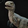 Jurassic World-Fallen Kingdom: Baby Blue