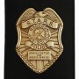 Resident Evil: S.T.A.R.S. Badge (SDCC 2013)