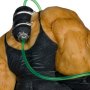 Bane Todd's Mods
