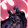 DC Comics: Bat & Cat Art Print (David Finch)
