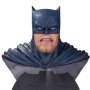 Batman Dark Knight Returns: Batman 30th Anni (Frank Miller)