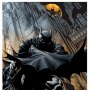 DC Comics: Batman #700 Art Print (David Finch)